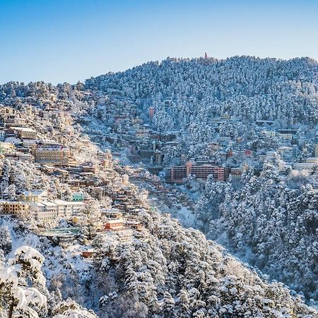 Mountain Zest-Simla Royale Near Mall Road-Free Pickup From Railway Station Simla Shimla Exterior foto
